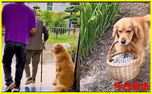 暑假哪里游玩比较好